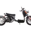 IceBear PMZ50-21