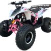 ATV-Mountopz-125-F2