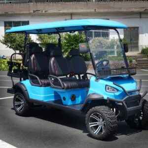 Golf Cart Verdi Malibu S6
